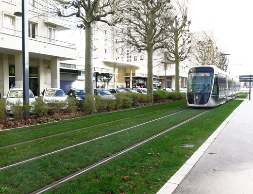 Aménagement de la plateforme du Tramway de Caen (14) - engazonnement - travaux de plantation