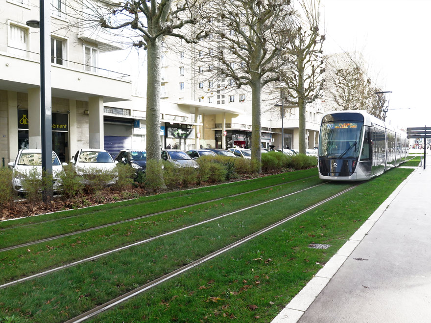 Aménagement paysager de la plateforme du tramway de Caen (14) - engazonnement - travaux de plantation